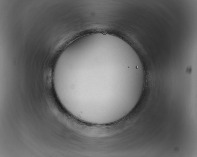 X0000116670024200912291708