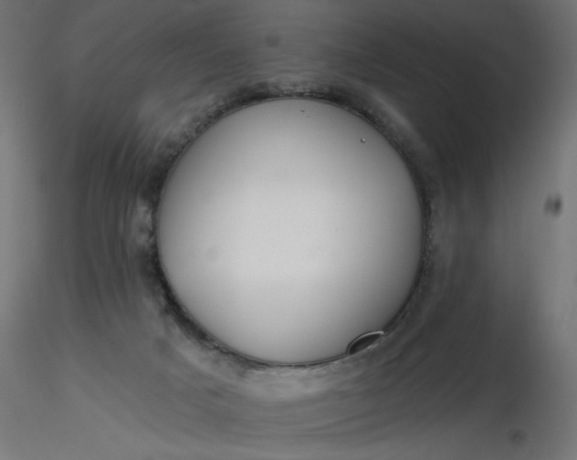 X0000116670025200912291708