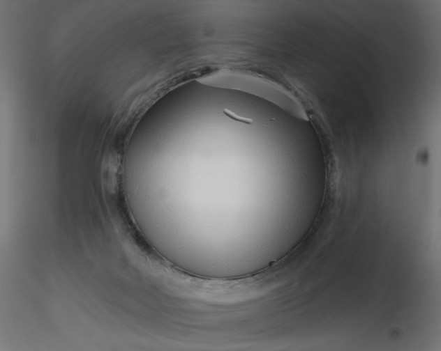 X0000116670026200912291708