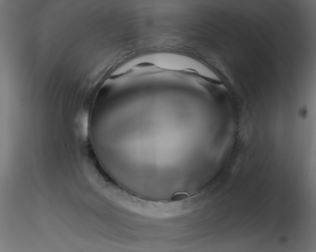 X0000116670027200912291708