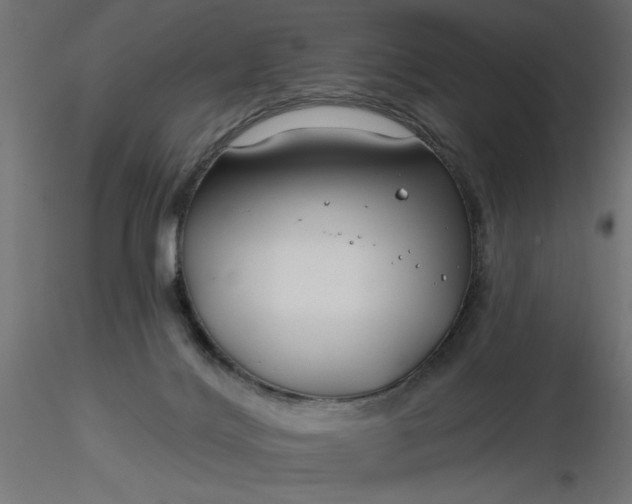 X0000116670028200912291707