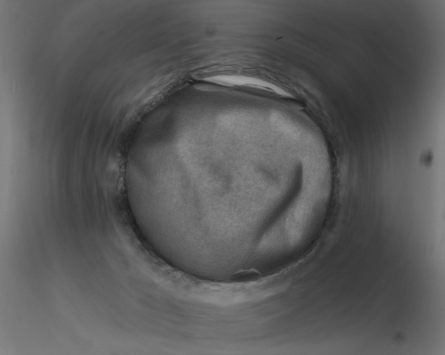 X0000116670029200912291707