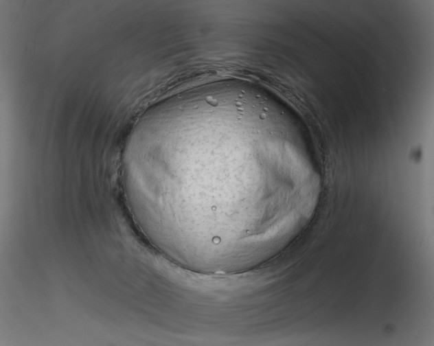 X0000116670030200912291707