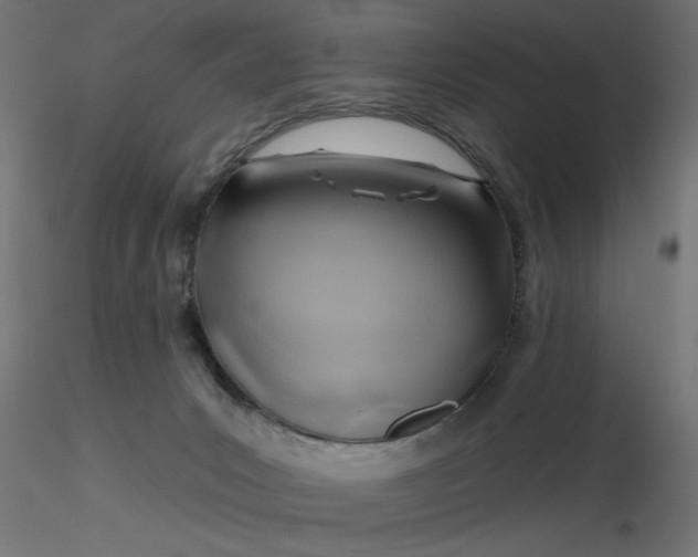 X0000116670031200912291707