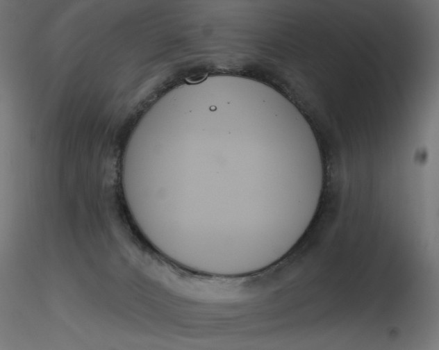 X0000116670032200912291707