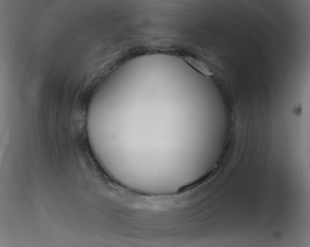 X0000116670033200912291707