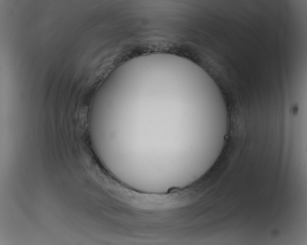 X0000116670034200912291707