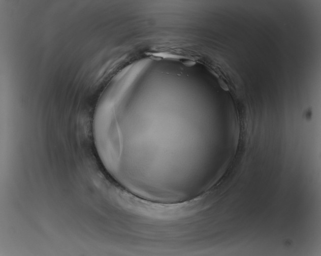 X0000116670035200912291707