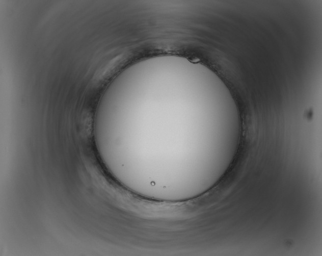 X0000116670036200912291707