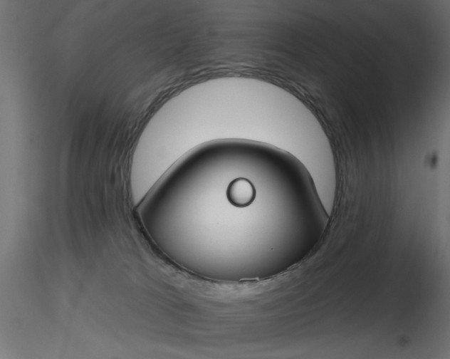 X0000116670037200912291707