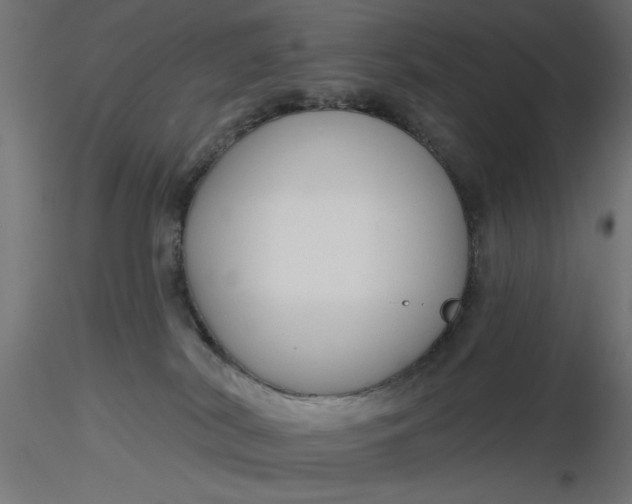 X0000116670038200912291707