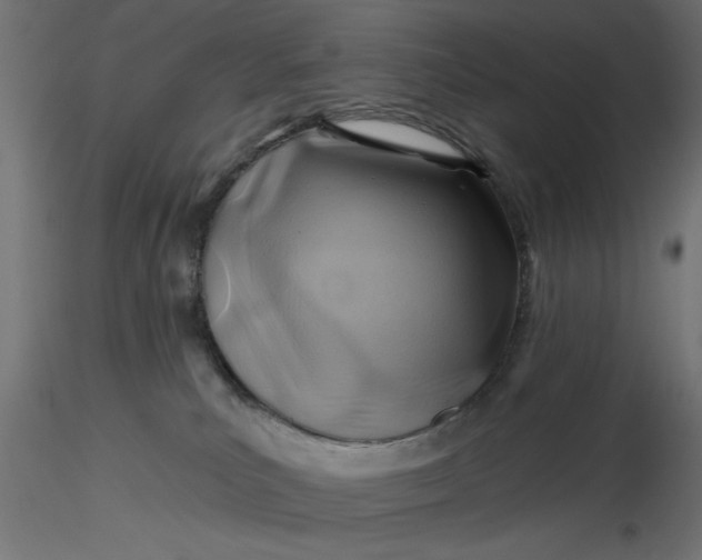 X0000116670039200912291707