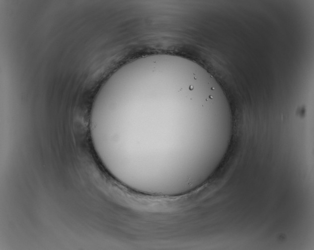 X0000116670040200912291707