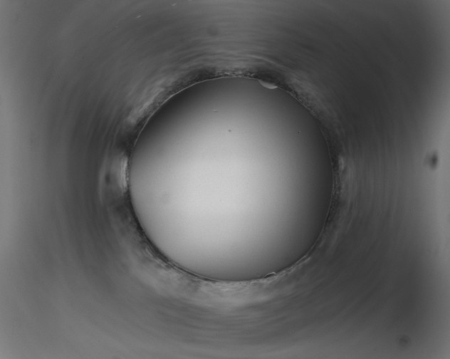 X0000116670041200912291707