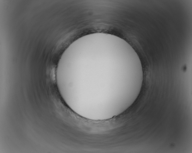 X0000116670042200912291707