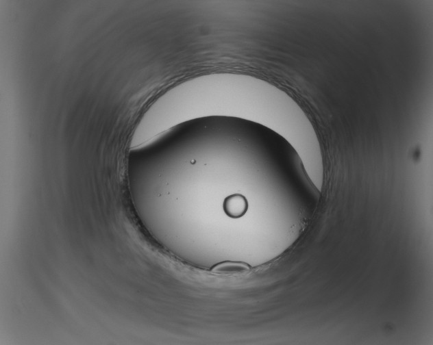 X0000116670043200912291707