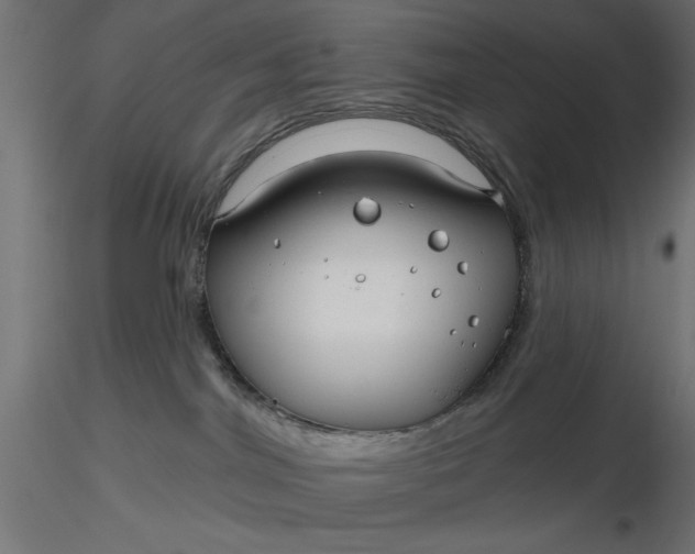 X0000116670044200912291707