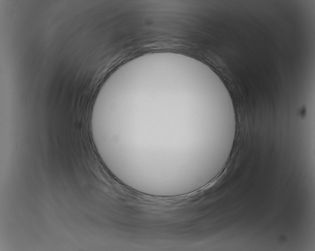 X0000116670045200912291707