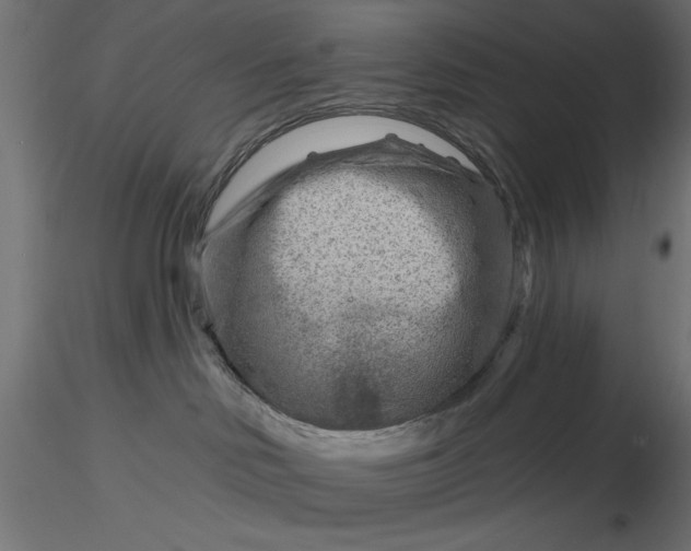 X0000116670046200912291707