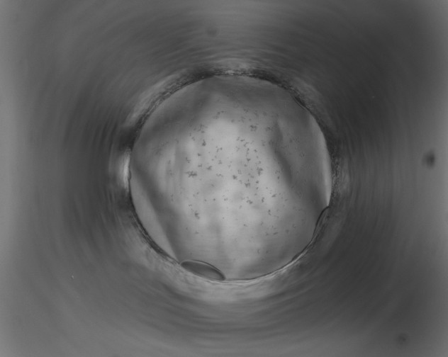 X0000116670047200912291707