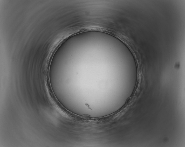 X0000116670049200912291707