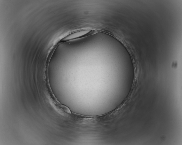 X0000116670050200912291707