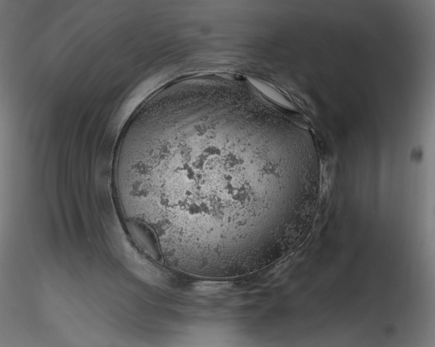 X0000116670051200912291707