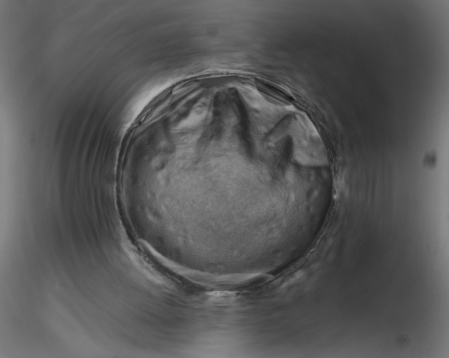 X0000116670052200912291707