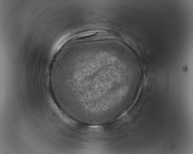 X0000116670053200912291707