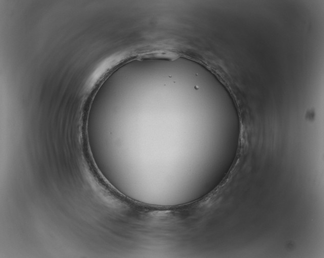 X0000116670054200912291707