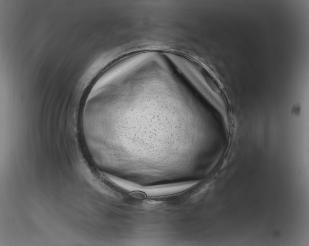 X0000116670055200912291707