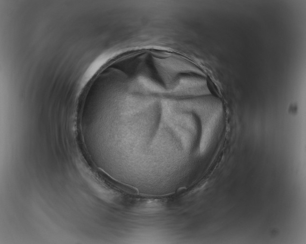 X0000116670056200912291707