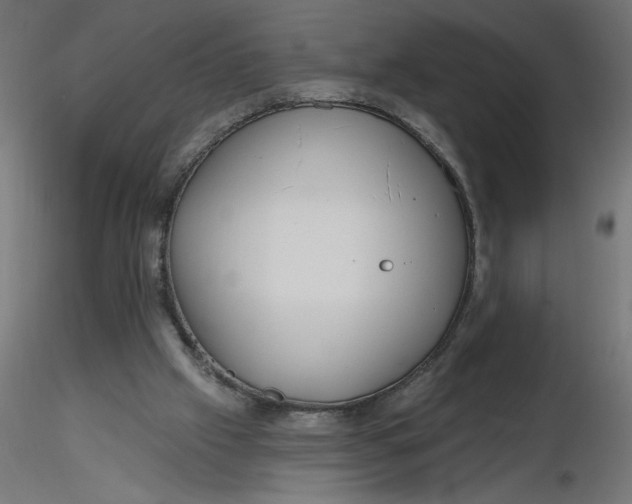 X0000116670057200912291707