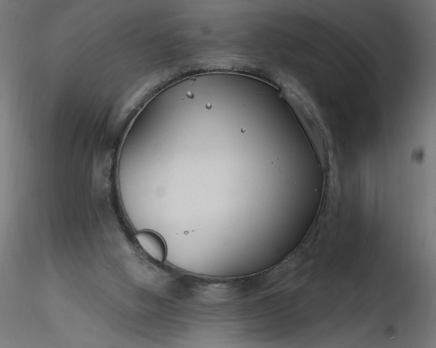 X0000116670058200912291707