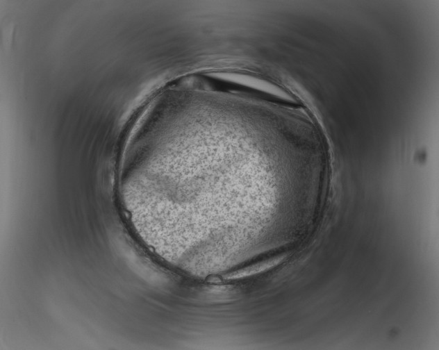 X0000116670059200912291707