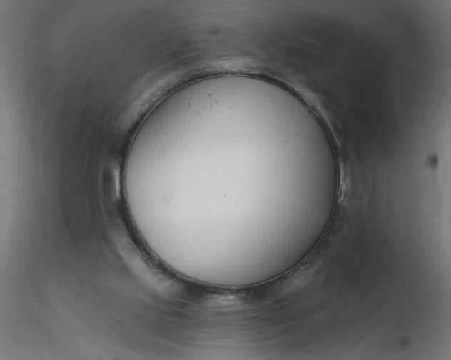 X0000116670061200912291707