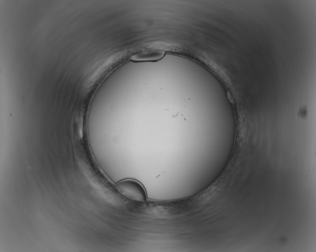 X0000116670062200912291707