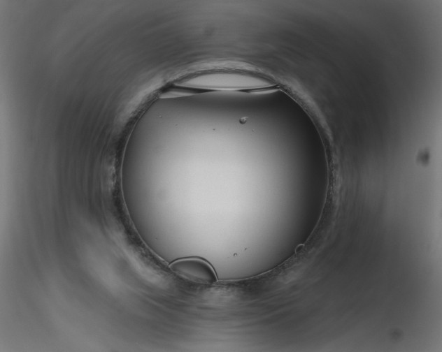 X0000116670063200912291707