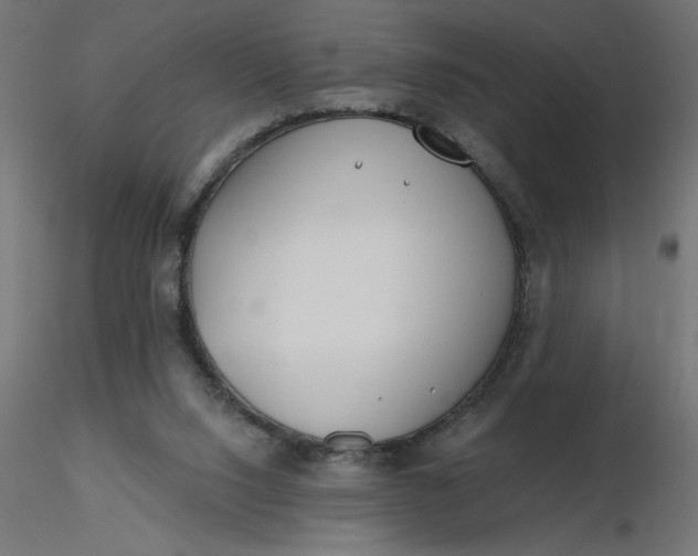 X0000116670064200912291707