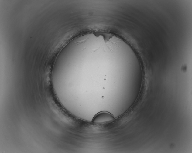 X0000116670065200912291707