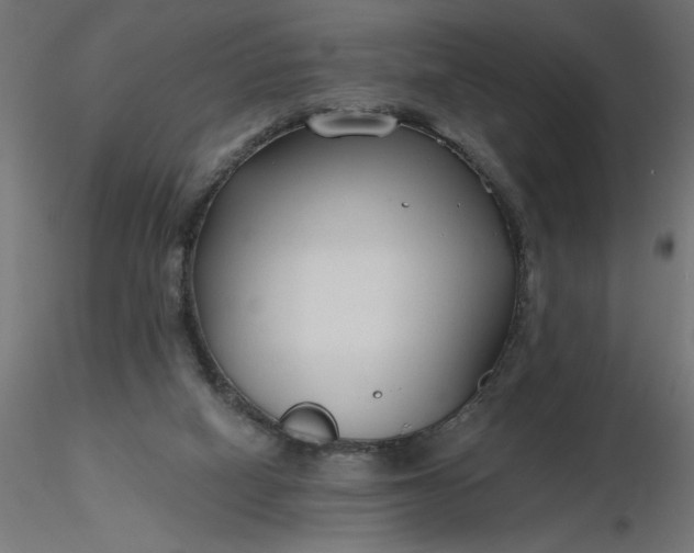 X0000116670066200912291707