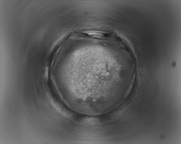 X0000116670067200912291707