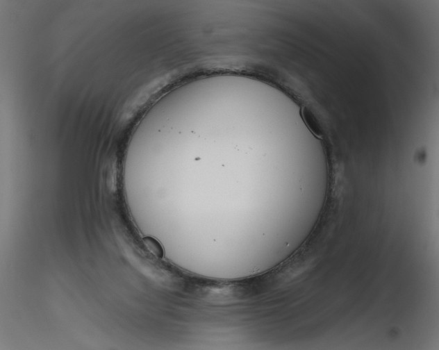 X0000116670068200912291707