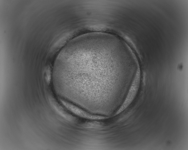 X0000116670069200912291707