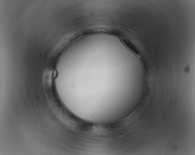 X0000116670070200912291707