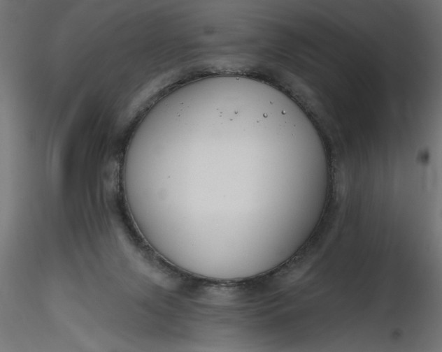 X0000116670071200912291707