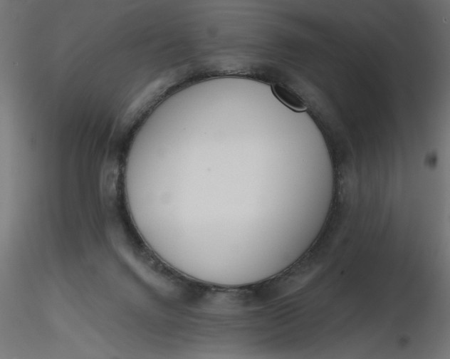 X0000116670072200912291707