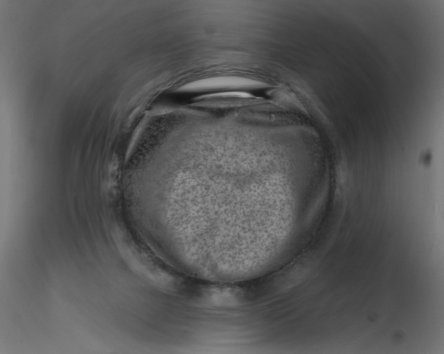 X0000116670073200912291707