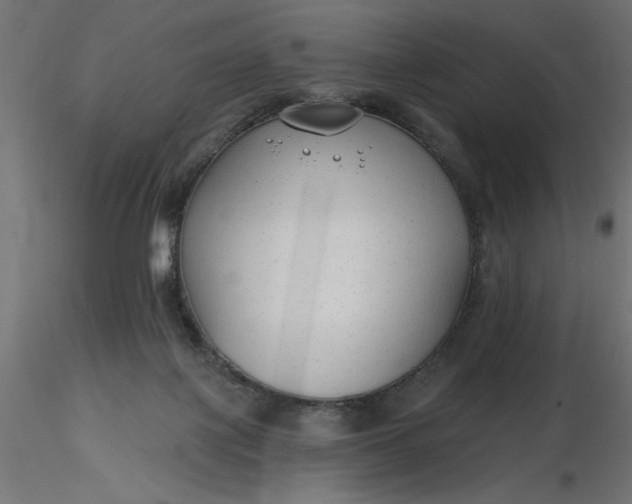 X0000116670075200912291707