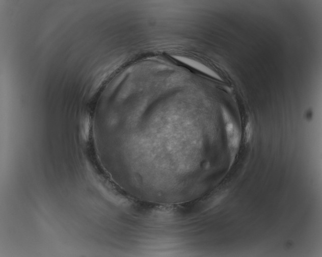 X0000116670076200912291707